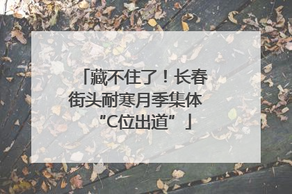 藏不住了！长春街头耐寒月季集体“C位出道”