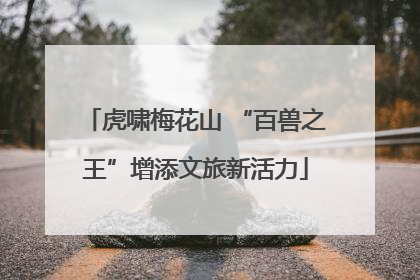 虎啸梅花山 “百兽之王”增添文旅新活力