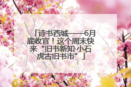诗书西城——6月底收官！这个周末快来“旧书新知·小石虎古旧书市”
