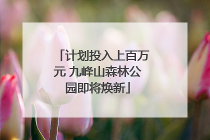 计划投入上百万元 九峰山森林公园即将焕新