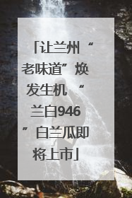 让兰州“老味道”焕发生机 “兰白946”白兰瓜即将上市