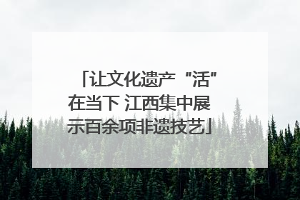 让文化遗产“活”在当下 江西集中展示百余项非遗技艺