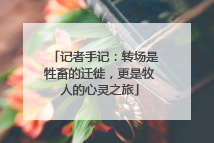 记者手记：转场是牲畜的迁徙，更是牧人的心灵之旅