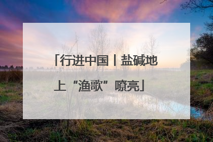 行进中国丨盐碱地上“渔歌”嘹亮