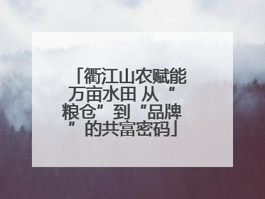 衢江山农赋能万亩水田 从“粮仓”到“品牌”的共富密码