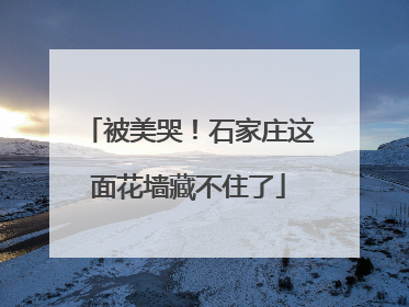 被美哭！石家庄这面花墙藏不住了