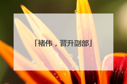 褚伟，晋升副部