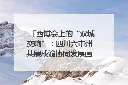西博会上的“双城交响”：四川六市州共展成渝协同发展画卷｜西博视界