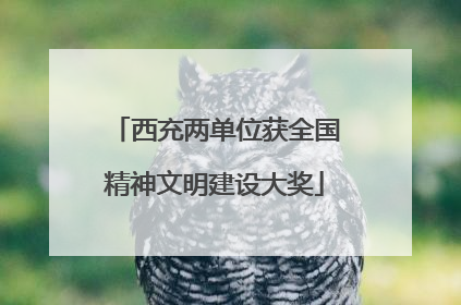 西充两单位获全国精神文明建设大奖