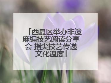 西夏区举办非遗麻编技艺阅读分享会 指尖技艺传递文化温度