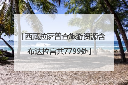 西藏拉萨普查旅游资源含布达拉宫共7799处