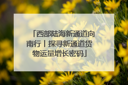 西部陆海新通道向南行丨探寻新通道货物运量增长密码
