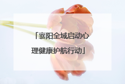 襄阳全域启动心理健康护航行动