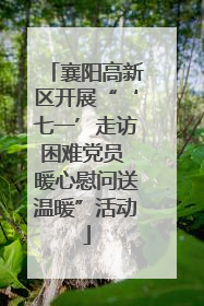 襄阳高新区开展“‘七一’走访困难党员 暖心慰问送温暖”活动