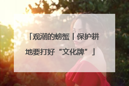 观潮的螃蟹丨保护耕地要打好“文化牌”