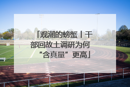 观潮的螃蟹丨干部回故土调研为何“含真量”更高