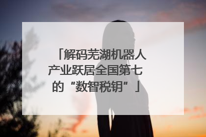 解码芜湖机器人产业跃居全国第七的“数智税钥”
