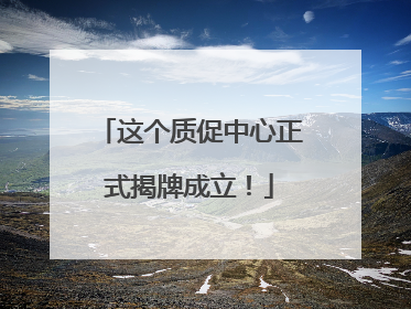 这个质促中心正式揭牌成立！