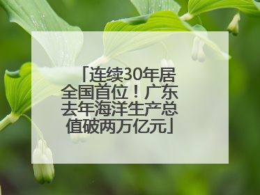 连续30年居全国首位！广东去年海洋生产总值破两万亿元