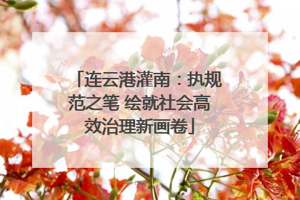 连云港灌南：执规范之笔 绘就社会高效治理新画卷