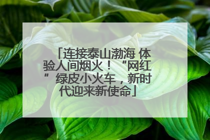 连接泰山渤海 体验人间烟火！“网红”绿皮小火车，新时代迎来新使命