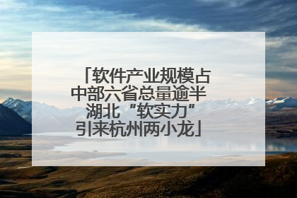 软件产业规模占中部六省总量逾半 湖北“软实力”引来杭州两小龙