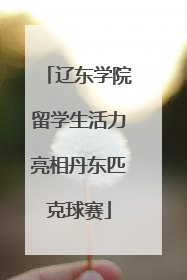 辽东学院留学生活力亮相丹东匹克球赛