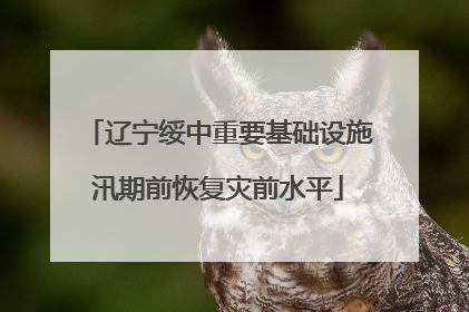辽宁绥中重要基础设施汛期前恢复灾前水平
