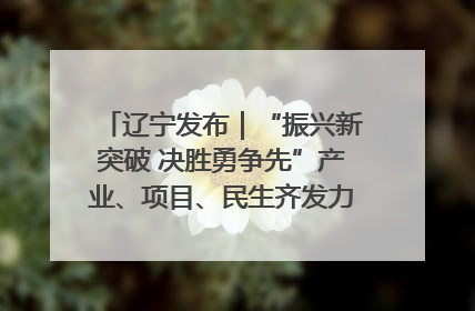 辽宁发布｜“振兴新突破 决胜勇争先”产业、项目、民生齐发力 葫芦岛按下决胜之年“加速键”