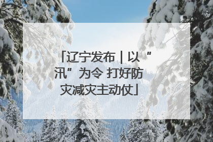 辽宁发布｜以“汛”为令 打好防灾减灾主动仗