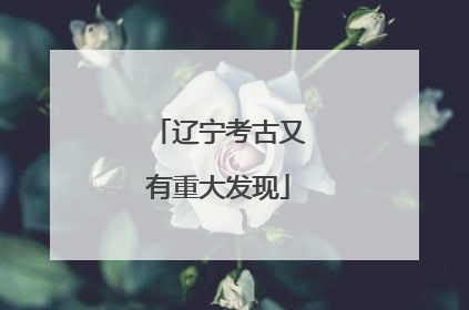 辽宁考古又有重大发现