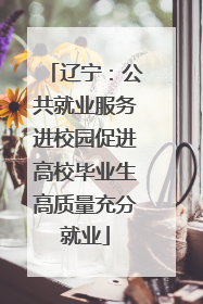 辽宁：公共就业服务进校园促进高校毕业生高质量充分就业
