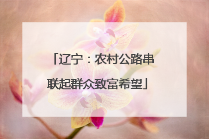 辽宁：农村公路串联起群众致富希望