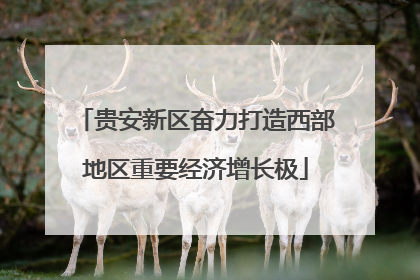 贵安新区奋力打造西部地区重要经济增长极