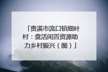 贵溪市流口镇细叶村：盘活闲置资源助力乡村振兴（图）