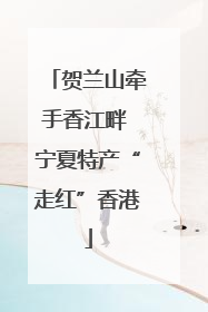 贺兰山牵手香江畔 宁夏特产“走红”香港