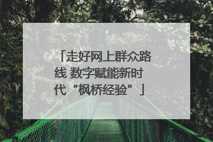 走好网上群众路线 数字赋能新时代“枫桥经验”