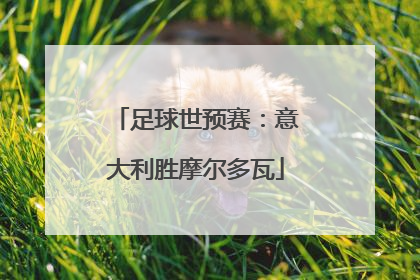 足球世预赛：意大利胜摩尔多瓦