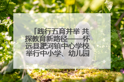 践行五育并举 共探教育新路径——怀远县淝河镇中心学校举行中小学、幼儿园班主任论坛活动