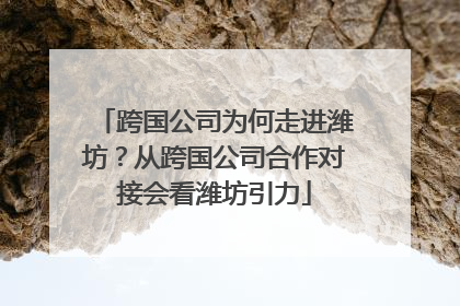 跨国公司为何走进潍坊？从跨国公司合作对接会看潍坊引力