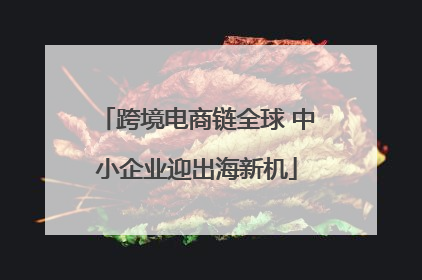 跨境电商链全球 中小企业迎出海新机