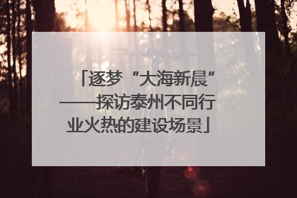 逐梦“大海新晨”——探访泰州不同行业火热的建设场景