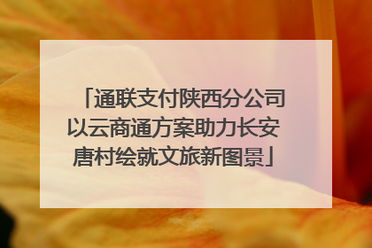 通联支付陕西分公司以云商通方案助力长安唐村绘就文旅新图景