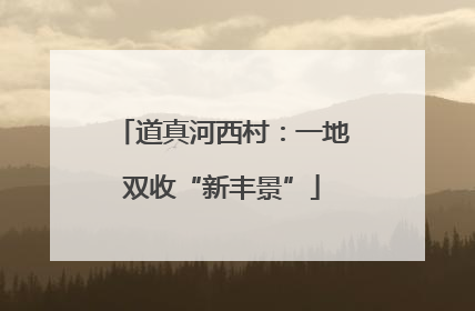 道真河西村：一地双收“新丰景”