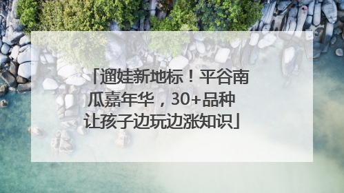 遛娃新地标！平谷南瓜嘉年华，30+品种让孩子边玩边涨知识
