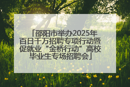 邵阳市举办2025年百日千万招聘专项行动暨促就业“金桥行动”高校毕业生专场招聘会