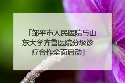 邹平市人民医院与山东大学齐鲁医院分级诊疗合作全面启动