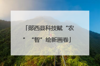 郧西县科技赋“农”“智”绘新画卷