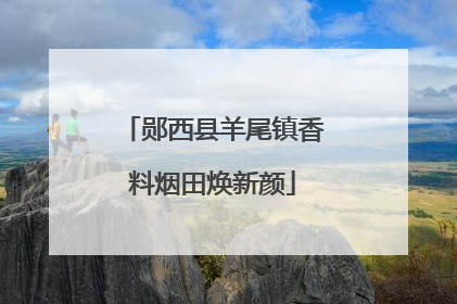 郧西县羊尾镇香料烟田焕新颜
