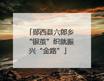 郧西县六郎乡“银茧”织就振兴“金路”